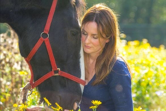 Meditate With Horses Session For 2 People - Cumbria