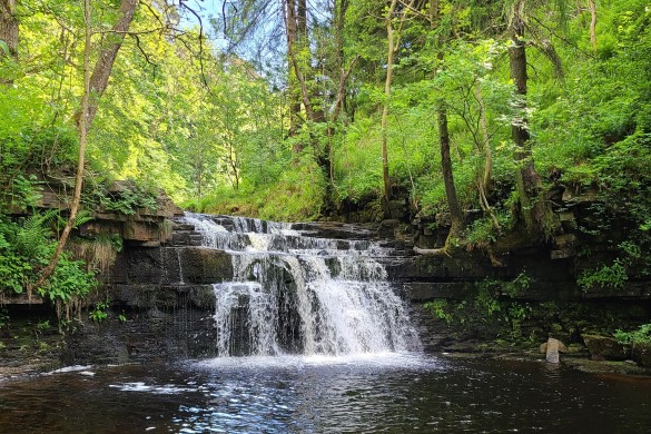 Wild Swimming Walks Taster Session for One